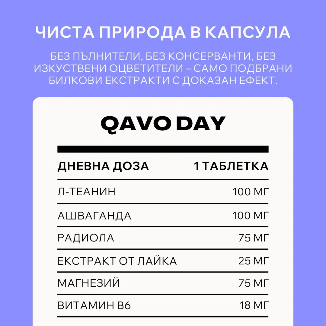 Дневна Формула - Image 3